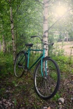 Bicycle Stock Photos