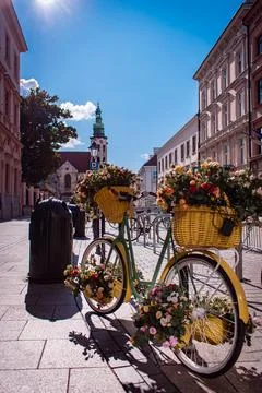 A bicycle 스톡 사진