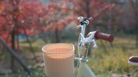 Bicycle Placed on Open Lawn in Soft Natural Light 4K Stock Footage 320168133