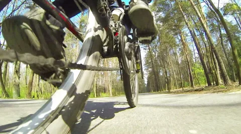   bicycle quickly goes one way in  wood. POV bottom view Stock Footage 49340393