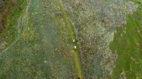 Bicycle race on the mountain. View quadrocopter Video stock 74704700