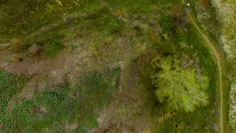 Bicycle race on the mountain. View quadrocopter Stock Footage 74706553