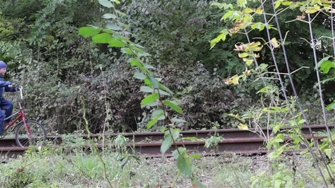 Bicycle railroad Stock Footage 80836675