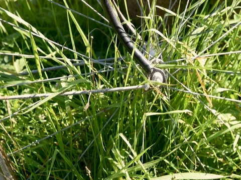 Bicycle resting place Stock Footage 81857247