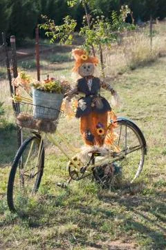 Bicycle ride in the Fall of year Stock Photos