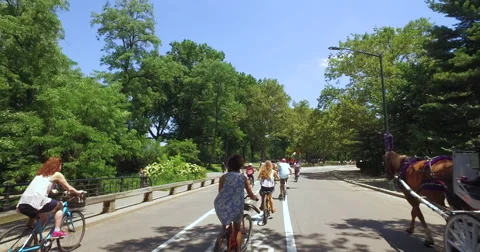 Bicycle ride fast timelapse in New York City Central Park Stock Footage 64796331