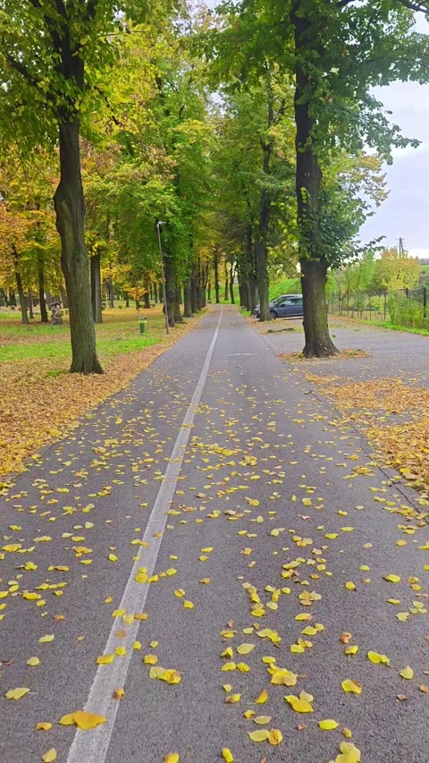 BICYCLE RIDE PARK FALL Stock Footage 300960621