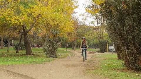 Bicycle ride in park Stock Footage 77050239
