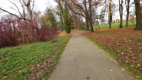 BICYCLE RIDE IN THE PARK1BEST Stock Footage 300560926