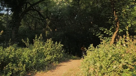 Bicycle rider in the forest Stock Footage 93135644