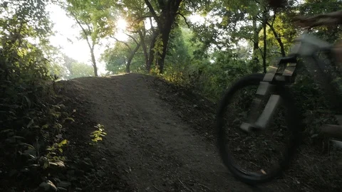 Bicycle rider in the forest Stock Footage 93135668