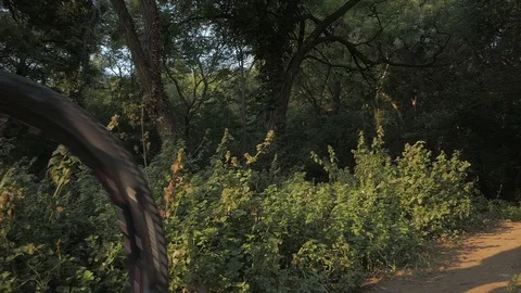 Bicycle rider in the forest Video stock 93135709