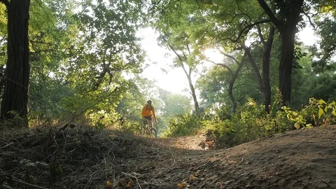Bicycle rider in the forest Stock Footage 93135713