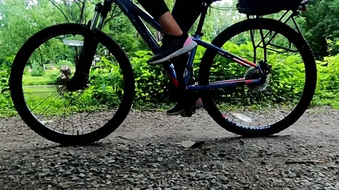 Bicycle riders pass by camera along canal Video stock 160851411