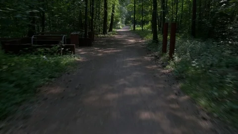 Bicycle rides along narrow path past bushy green forest Stock Footage 110852532