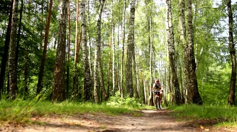 Bicycle rides through forest Stock Footage 64447403