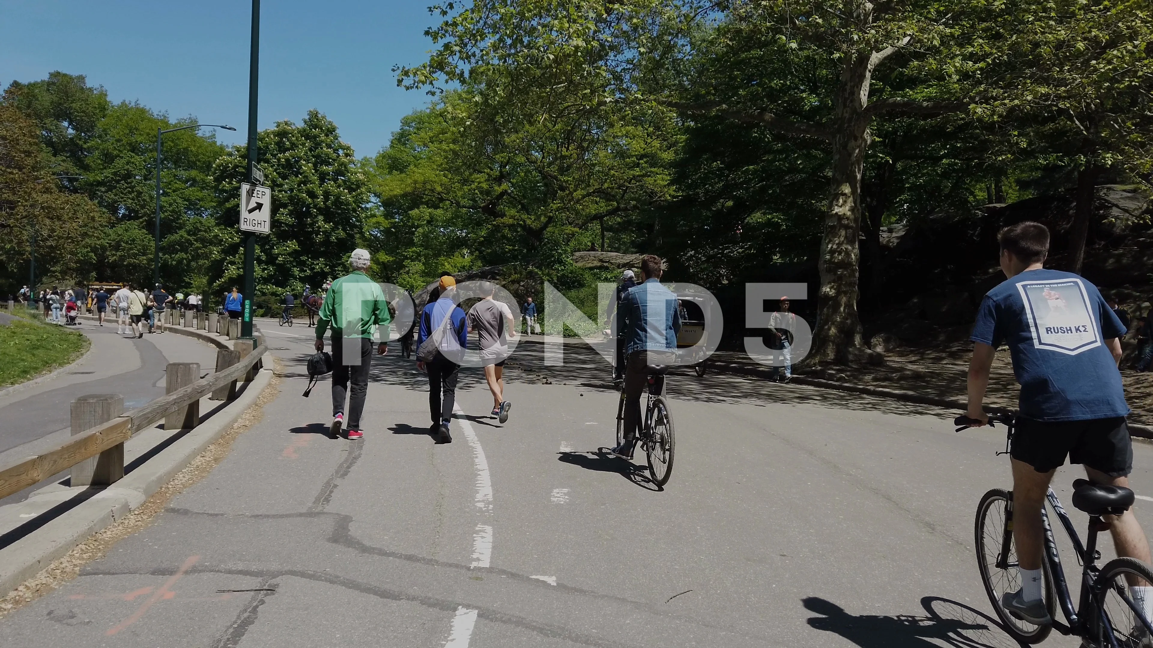 Bicycle riding in Central Park New York City fast timelapse