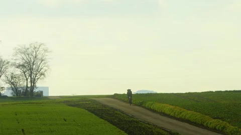Bicycle Riding in Green Field in Cloudy Day Stock Footage 236189247