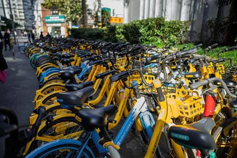 Bicycle sharing using app. Rows of bicycles for rent. Stock Photos