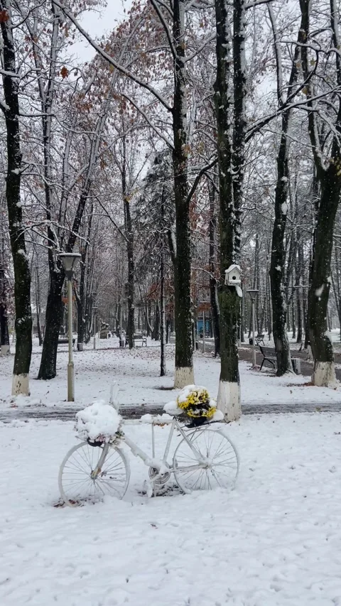 Bicycle in the snow Stock Footage 293091534