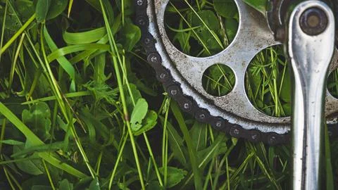 Bicycle sprocket on the grass. Stock Photos