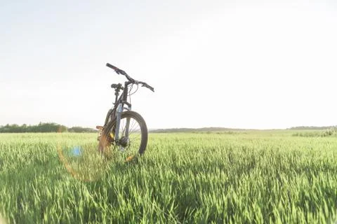A bicycle standing on the grass Stock Photos