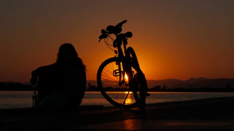 With a bicycle at sunset. 動画素材 233120894