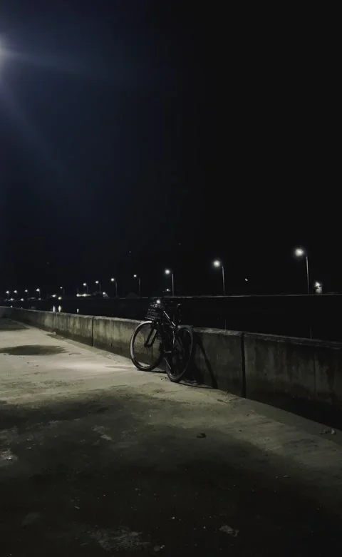 Bicycle With Taillight at Night Stock Footage 333943986