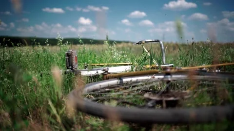 Bicycle in the tall grass in the meadow Stock-Footage 157495965