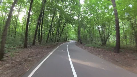 By bicycle through the park. Stock Footage 101485043