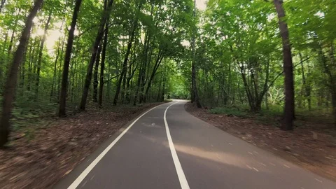 By bicycle through the park. Stock Footage 101485044