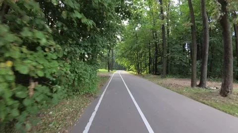 By bicycle through the park. Stock Footage 101485141