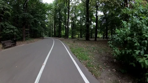 By bicycle through the park. Stock Footage 101485265