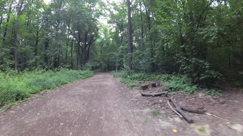 By bicycle through the park. Stock Footage 101485297