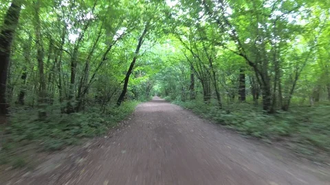 By bicycle through the park. Stock Footage 101485401