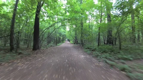 By bicycle through the park. Stock Footage 101485475