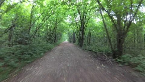 By bicycle through the park. Stock Footage 101485491