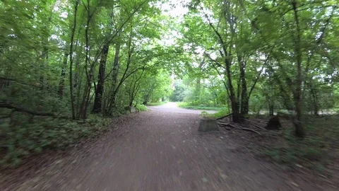 By bicycle through the park. Stock Footage 101485579
