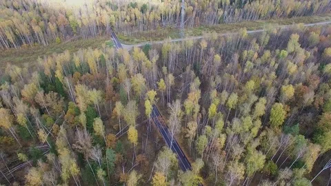 Bicycle track and power line among forest at autumn day on Elk Island. Vídeo Stock 74455950