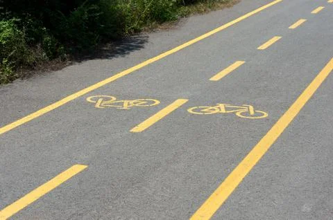 Bicycle track in Park Stock Photos