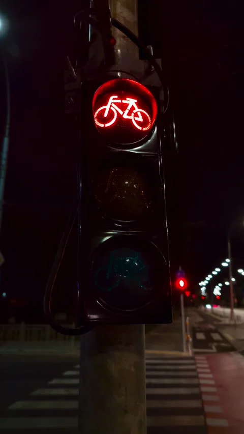 Bicycle Traffic Light Switching from Red to Green at Night. Vertical Video Stock Footage 287455179