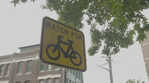 Bicycle Warning Traffic Sign Under Trees in Sydney Urban Street Scene Stock Footage 341679163