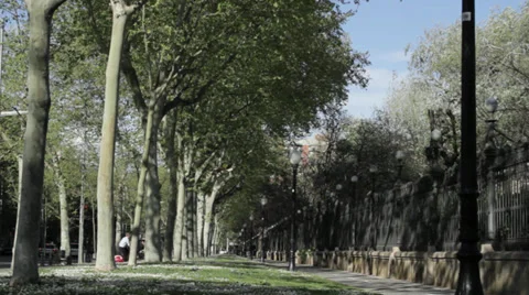 Bicycle way in spring time Stock-Footage 37726684