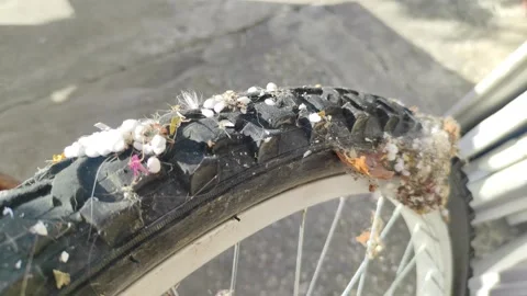 Bicycle wheel with the dust 스톡 동영상 291875748