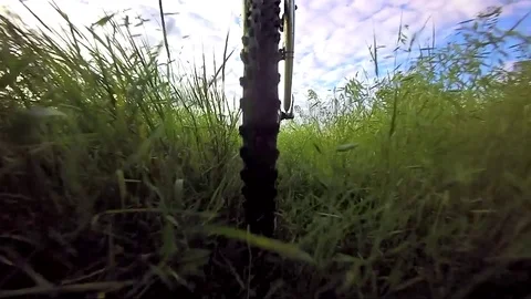 Bicycle wheel goes on a grass. Video with natural audio sound Stock Footage 79268642