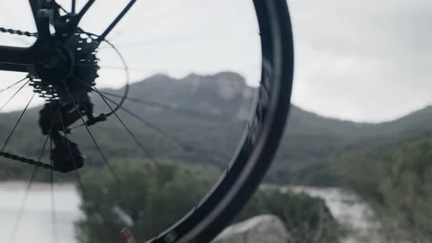 Bicycle Wheel Jumping, Swamp Stock Footage 233596364