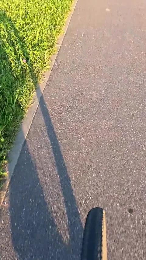 Bicycle wheel moving forward on asphalt path in sunny park Stock Footage 314290951