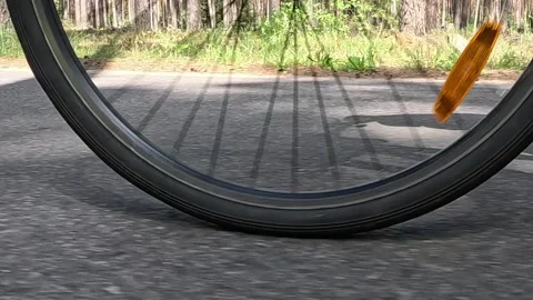 A bicycle wheel passes the forest line, along a rural road. Vídeo Stock 340478653