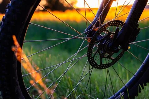 Bicycle wheel Stock Photos