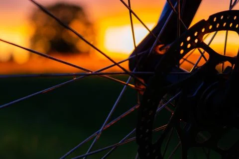 Bicycle wheel Stock Photos